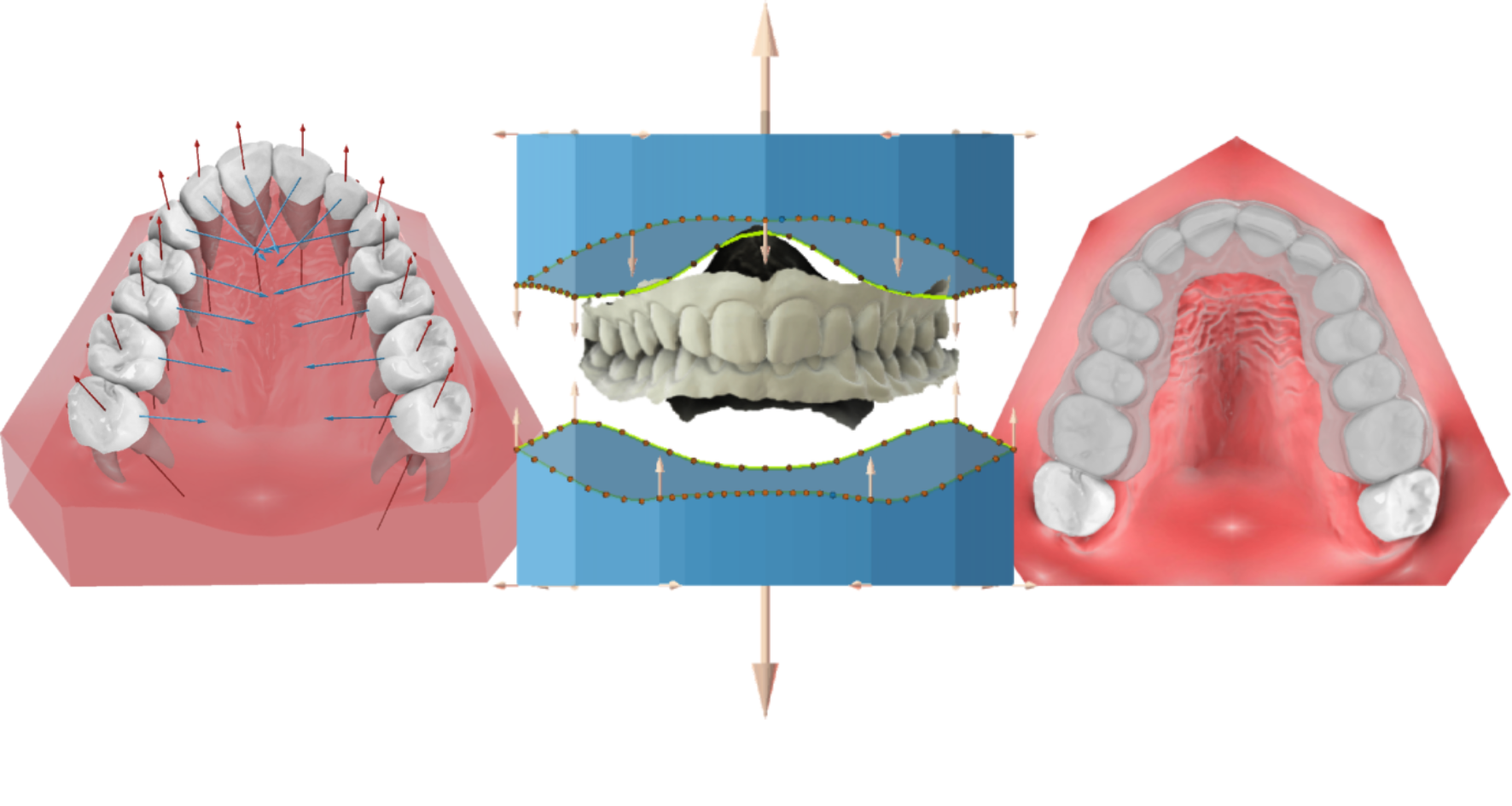 maestro 3d